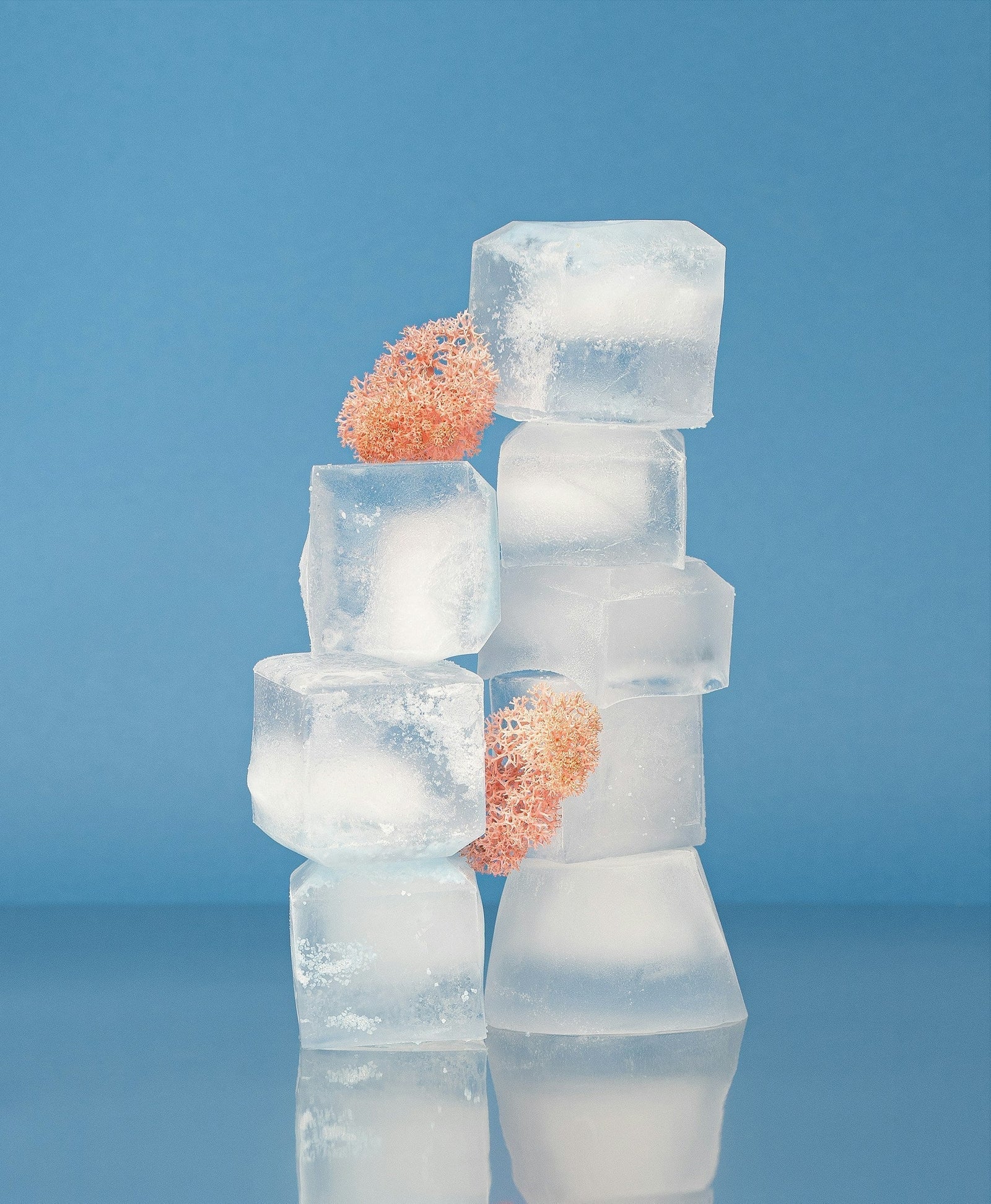 Ice cubes stacked in a column with frozen pink flowers inside — visually supporting the discussion of skincare benefits and cautions related to skin icing.