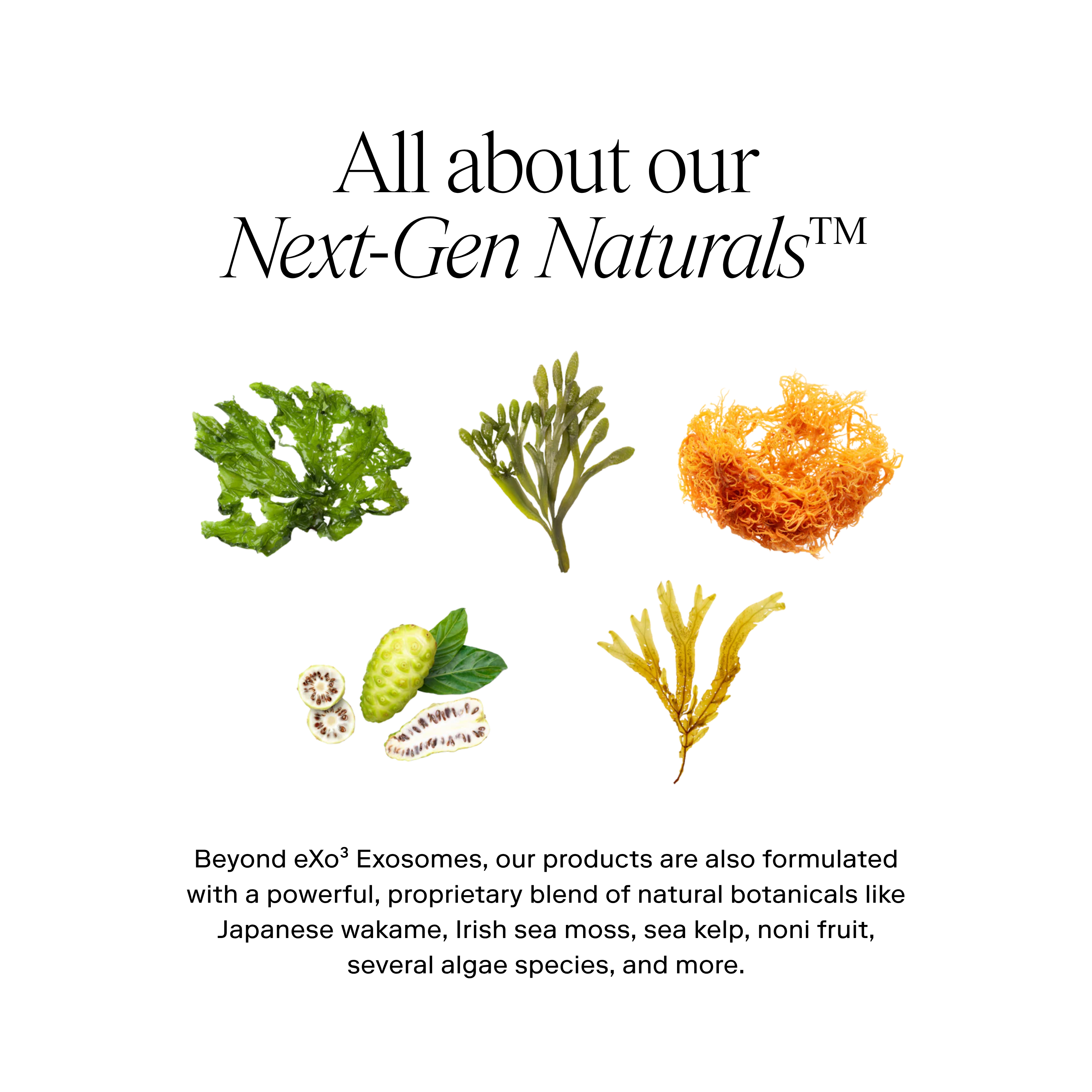 EXO H-SERUM™ Hyaluronic Acid Treatment / eXo³ Exosomes®